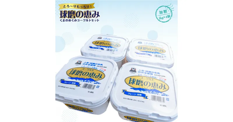 【ふるさと納税】球磨の恵みヨーグルトセット 送料無料 ヨーグルト 乳製品 乳酸菌 健康 免疫力 加糖1kg×4個