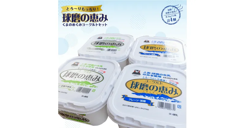 【ふるさと納税】とろ～りもっちり!球磨の恵みヨーグルトセット 送料無料 乳製品 ヨーグルト 乳酸菌 健康 免疫力 加糖・砂糖不使用各1kgx2個 計4個