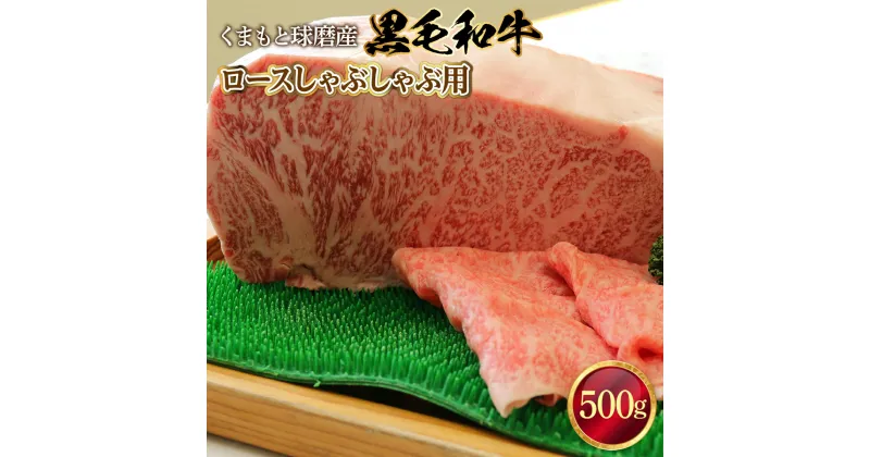 【ふるさと納税】黒毛和牛 ロースしゃぶしゃぶ用 送料無料 牛肉 お中元 お歳暮 ギフト 贈答 プレゼント 熊本 くまもと球磨産 ロース しゃぶしゃぶ 500g