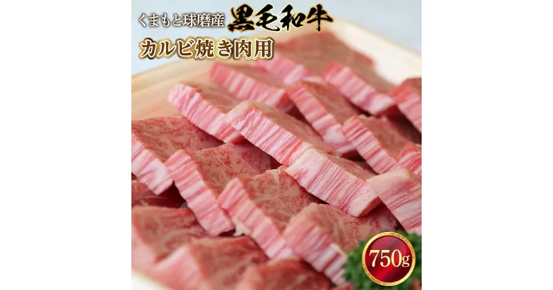 【ふるさと納税】 黒毛和牛 カルビ焼き肉用 送料無料 牛肉 お中元 お歳暮 ギフト 贈答 プレゼント 熊本 くまもと球磨産 カルビ 焼き肉 750g