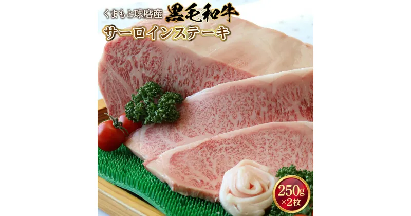 【ふるさと納税】 黒毛和牛 サーロインステーキ 送料無料 牛肉 お中元 お歳暮 ギフト 贈答 プレゼント 熊本 くまもと球磨産 ステーキ 250g×2枚