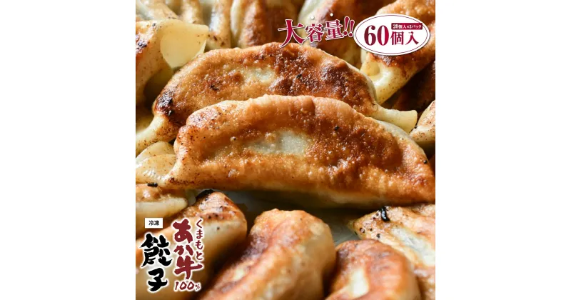 【ふるさと納税】 くまもとあか牛100％餃子 60個 20個入り×3 送料無料 餃子 お肉 牛肉 熊本県産 九州産 あか牛