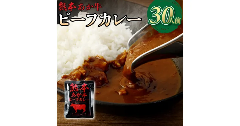 【ふるさと納税】熊本県産 あか牛使用 くまもと あか牛 ビーフカレー 30人前 計4800g 4.8kg 160g×30袋 肉 牛 国産牛 肉加工品 カレー レトルト 簡単調理 備蓄 熊本県 湯前町 送料無料