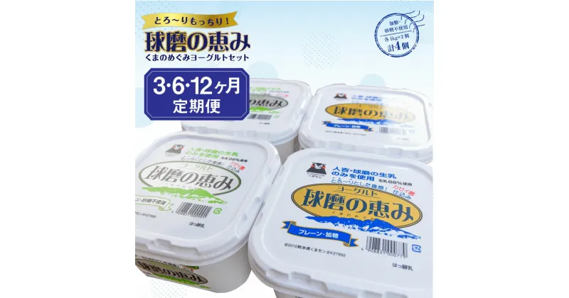 【ふるさと納税】【3・6・12ヶ月定期便】とろ～りもっちり 球磨の恵みヨーグルトセット 送料無料 乳製品 ヨーグルト 乳酸菌 健康 免疫力 加糖・砂糖不使用各1kgx2個 計4個