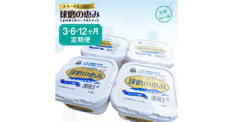 【ふるさと納税】【3・6・12ヶ月定期便】球磨の恵みヨーグルトセット 送料無料 ヨーグルト 乳製品 乳酸菌 健康 免疫力 加糖1kg×4個