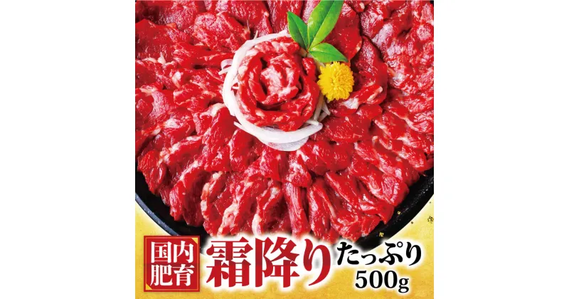 【ふるさと納税】熊本馬刺し 霜降り たっぷり 約500g 約50g×10パック 専用醤油付き 馬刺し 中トロ 馬 馬肉 刺し身 国内肥育 熊本県 湯前町 送料無料