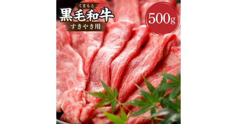 【ふるさと納税】くまもと黒毛和牛 すきやき用 約500g すき焼き 肉 お肉 牛肉 黒毛和牛 和牛 ブランド牛 薄切り スライス 九州 国産 熊本県 湯前町 送料無料