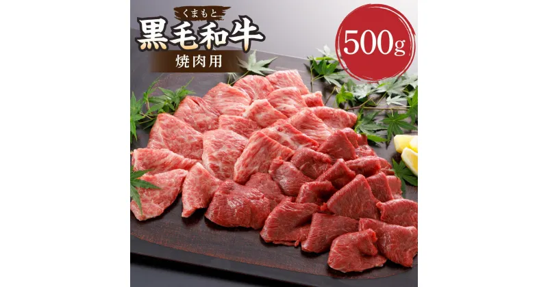 【ふるさと納税】くまもと黒毛和牛 焼肉用 約500g やきにく BBQ 焼き肉 肉 お肉 牛肉 黒毛和牛 和牛 ブランド牛 九州 国産 熊本県 湯前町 送料無料