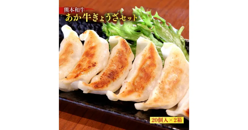 【ふるさと納税】熊本和牛 あか牛 ぎょうざ セット 20個入り×2箱 合計40個 餃子 肉 牛 和牛 褐毛和種 惣菜 肉加工品 冷凍 熊本県 湯前町 送料無料