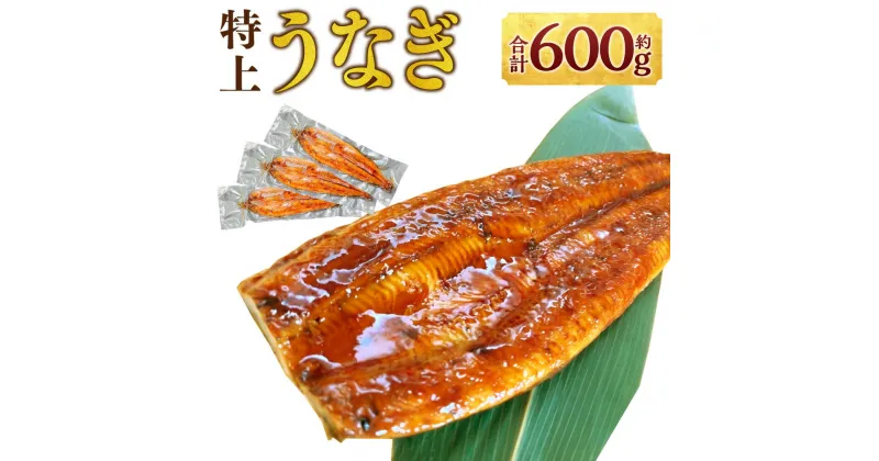 【ふるさと納税】特上うなぎ 200g×3尾 合計約600g タレ付き ウナギ 鰻 国産 かば焼き 蒲焼 冷凍 熊本県 湯前町 送料無料