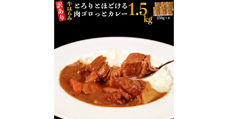 【ふるさと納税】 【訳あり】具だくさん やわらか牛ハラミカレー 約250g×6パック 計約1.5kg 冷凍 湯煎 レンジ 惣菜 簡単 調理 ランチ 熊本県 湯前町 送料無料