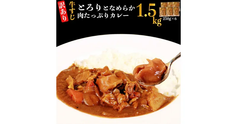 【ふるさと納税】【訳あり】具だくさん やわらか牛すじカレー 約250g×6パック 計約1.5kg 冷凍 湯煎 レンジ 惣菜 簡単 調理 ランチ 熊本県 湯前町 送料無料