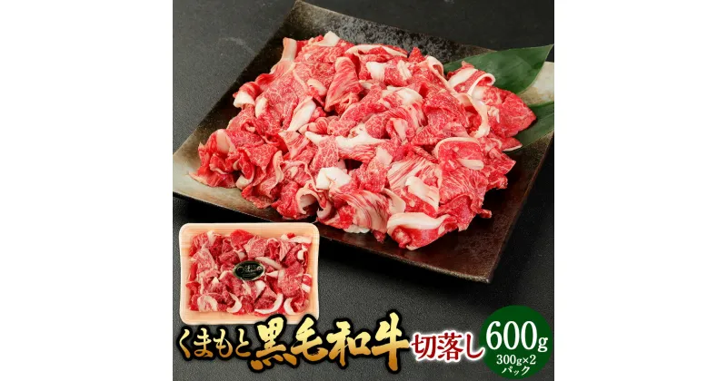 【ふるさと納税】くまもと黒毛和牛 切落し 約600g（約300g×2パック）熊本黒毛和牛 黒毛和牛 和牛 国産牛 国産牛肉 牛肉 肉 牛モモ 牛カタ 牛バラ 切り落とし 冷凍 国産 お取り寄せグルメ 熊本県 湯前町 送料無料