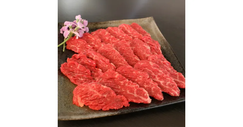 【ふるさと納税】【GI認証】くまもとあか牛 ロース 焼肉用 約500g 赤牛 あか牛 熊本あか牛 牛肉 肉 お肉 赤身 和牛 国産牛 国産牛肉 牛ロース ロース肉 やきにく 焼き肉 焼肉 BBQ バーベキュー 冷凍 お取り寄せグルメ 九州 熊本県 湯前町 送料無料