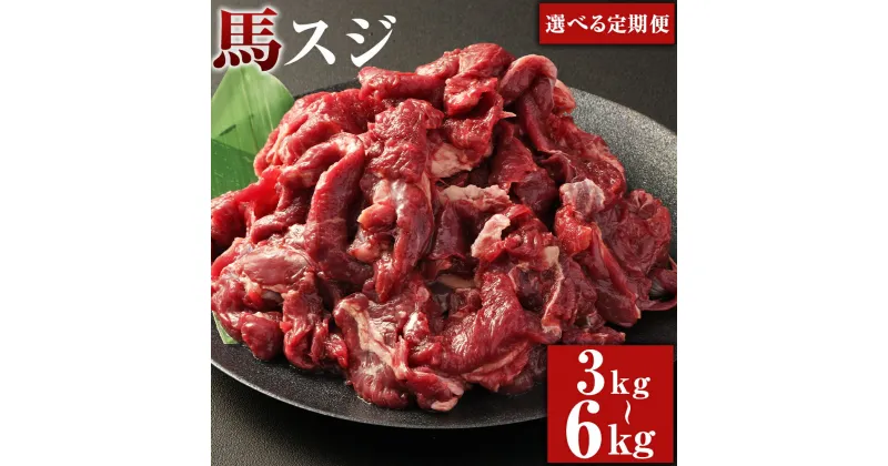 【ふるさと納税】【選べる定期便】馬スジ 1回あたり約1kg（約500g×2パック）計約3kg 計約6kg 3ヶ月 6ヶ月 定期便 馬すじ 馬肉 すじ肉 スジ肉 すじ 肉 お肉 煮込み料理 カレー 料理用 冷凍 お取り寄せグルメ 熊本県 湯前町 送料無料