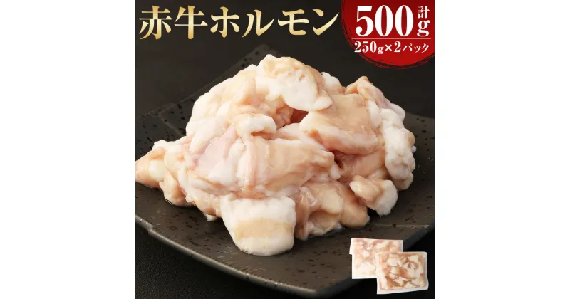 【ふるさと納税】赤牛 ホルモン 約500g（約250g×2パック）あか牛 牛ホルモン シロホルモン 小腸 牛肉 和牛 肉 お肉 もつ鍋 もつ煮込み 焼肉 焼き肉 やきにく 冷凍 お取り寄せグルメ 熊本県 湯前町 送料無料