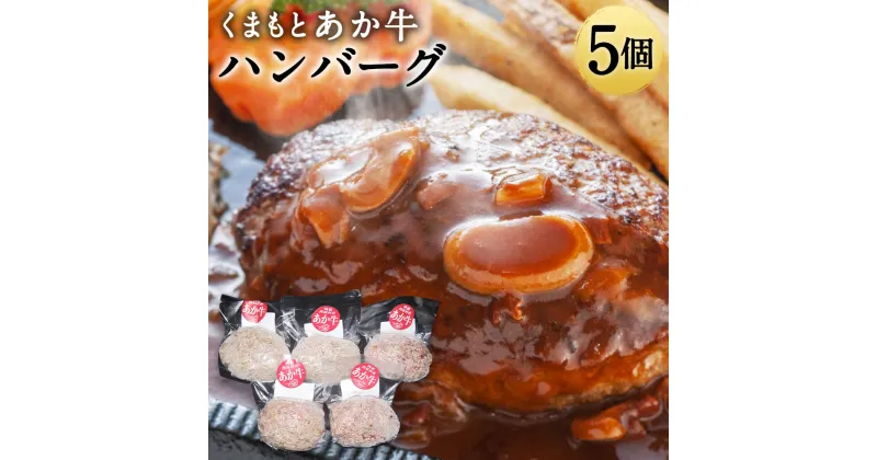 【ふるさと納税】くまもとあか牛 ハンバーグ 150g×5個 合計750g 5個セット 真空パック 小分け 惣菜 あか牛 牛肉 和牛 お肉 冷凍 熊本県産 国産 送料無料