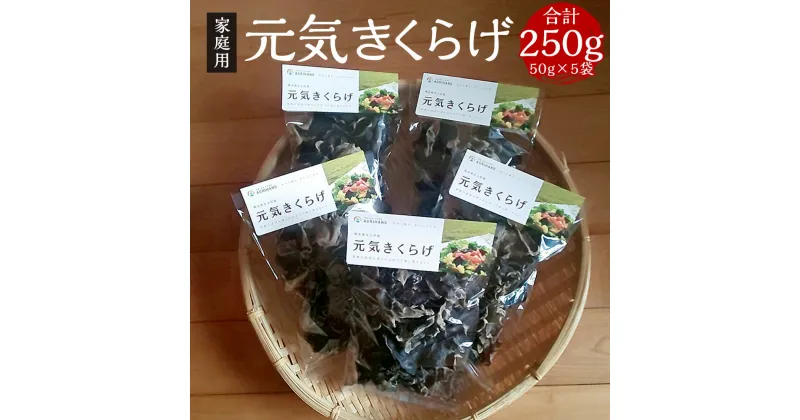 【ふるさと納税】家庭用 乾燥きくらげ 合計250g 50g×5袋 元気きくらげ きくらげ キクラゲ 木耳 乾燥 干し 国産 九州産 熊本県産 送料無料