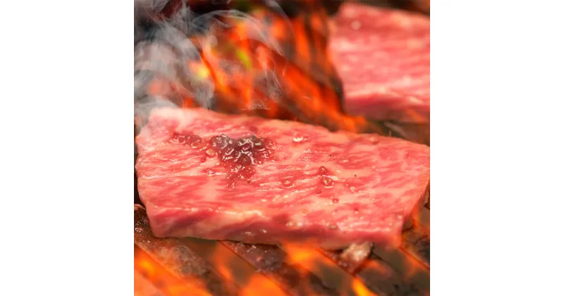 【ふるさと納税】肥後のあか牛 焼肉用 500g 熊本県産 和牛スライス 焼き肉 赤牛 牛 牛肉 お肉 肉 九州産 国産 冷凍 送料無料