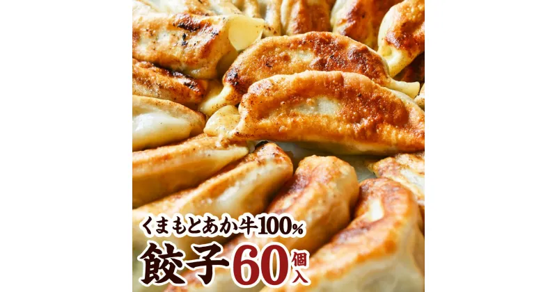 【ふるさと納税】くまもとあか牛100％ 餃子 合計60個 20個入×3パック 牛肉 肉 和牛 赤牛 ぎょうざ 冷凍餃子 惣菜 加工品 中華 点心 熊本県産 九州 国産 冷凍 送料無料