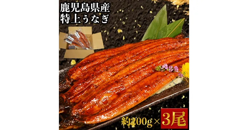 【ふるさと納税】特上うなぎ 約600g (約200g×3尾) タレ付き うなぎ 鰻 ウナギ 国産 九州産 蒲焼き かばやき 冷凍 うな重 ひつまぶし タレ 送料無料