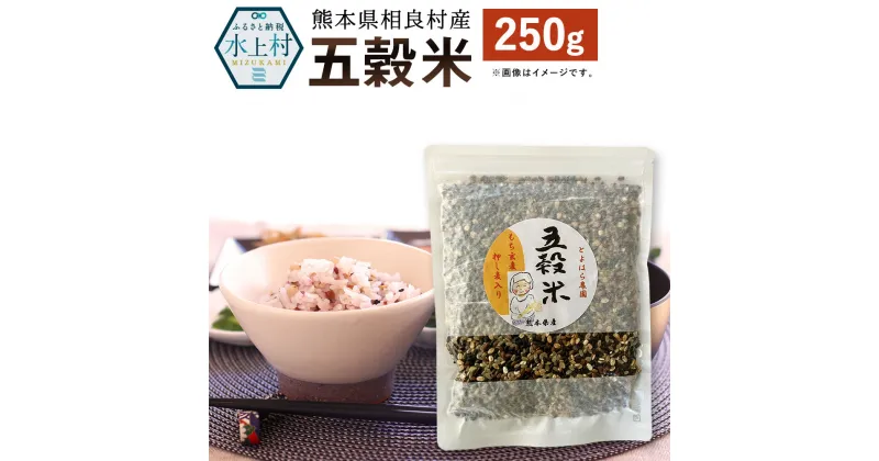 【ふるさと納税】ヘルシー五穀米 250g 国産 熊本県産 黒米 もち皮付き押し麦 うるち玄米 もち押し麦 赤米 雑穀米 ブレンド 送料無料