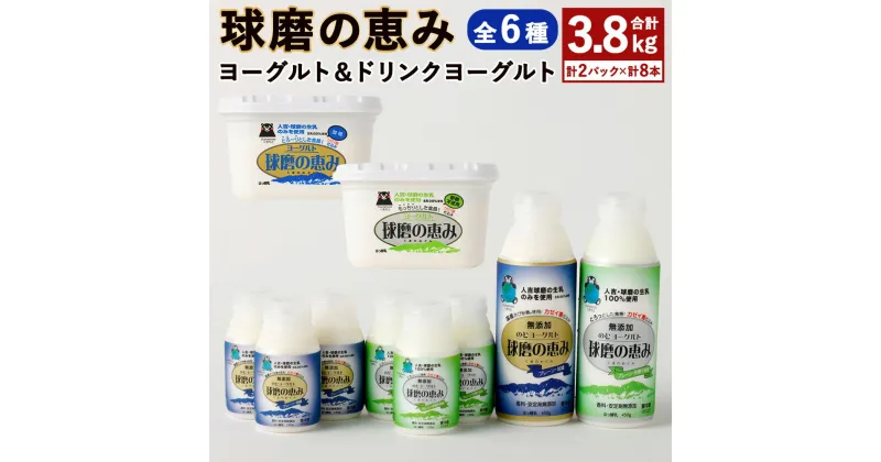 【ふるさと納税】球磨の恵み ヨーグルト 2パック＆ドリンクヨーグルト 8本セット 合計3.8kg 全6種 加糖 砂糖不使用 飲むヨーグルト のむヨーグルト ドリンクタイプ まろやか 自然派志向 冷蔵 熊本県 球磨人吉産 送料無料