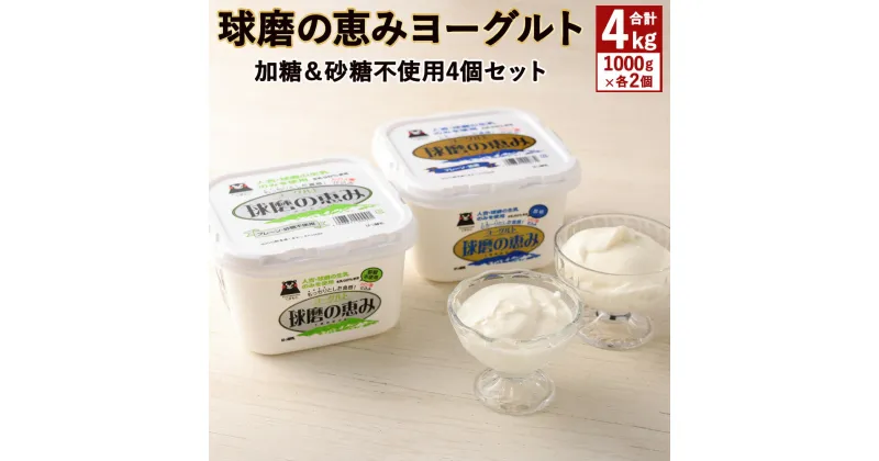 【ふるさと納税】「球磨の恵みヨーグルト」 加糖・砂糖不使用 1000g×各2個 合計4個セット 合計4kg 4000g ヨーグルト 乳製品 自然派志向 冷蔵 熊本県 球磨人吉産 送料無料