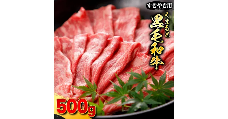 【ふるさと納税】くまもと黒毛和牛 すきやき用 500g 1パック 牛肉 お肉 ブランド和牛 すき焼き スライス 冷凍 国産 熊本県産 九州 熊本県 水上村 送料無料