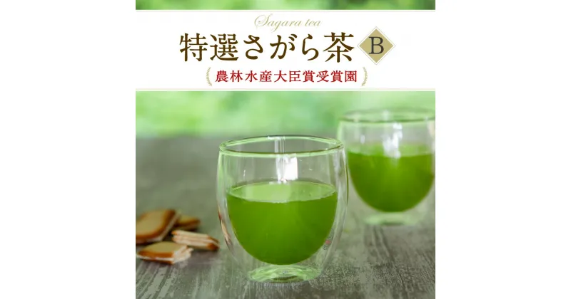 【ふるさと納税】熊本県品評会受賞園 「さがら茶」 ギフト （B） 100g×2 お茶 緑茶 茶葉 お茶葉 熊本県産 相良村産 送料無料