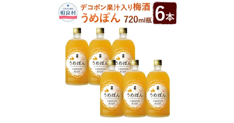 【ふるさと納税】デコポン果汁入 梅酒「うめぽん」 6本セット 720ml×6本 合計4320ml 4.32L 10度 本格米焼酎 焼酎 お酒 球磨焼酎 セット 高橋酒造 送料無料