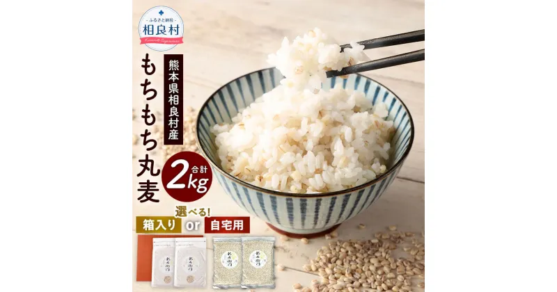 【ふるさと納税】＜選べる＞もちもち丸麦 合計2kg 1kg×2袋 【箱入り】 または 【ご自宅用】 セット 麦 もち麦 とよはら農園 雑穀 熊本県産 九州産 国産 相良村産 箱入り 送料無料