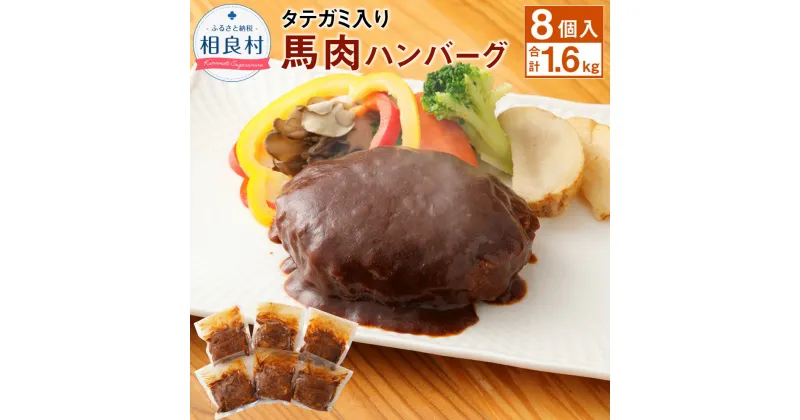 【ふるさと納税】タテガミ入り 馬肉ハンバーグ デミソース 8個セット 200g×8個 合計1.6kg 馬肉 ハンバーグ たてがみ コウネ 惣菜 デミグラスソース 温めるだけ おかず 冷凍 送料無料