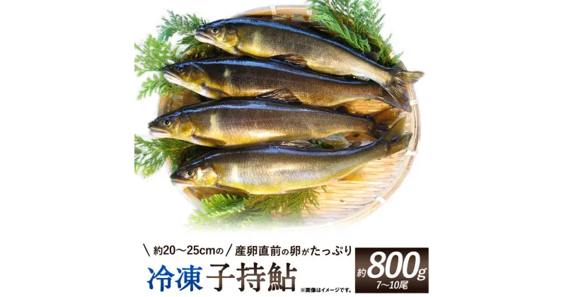 【ふるさと納税】産卵直前の卵がたっぷりの冷凍子持鮎 約800g（7〜10尾） 子持ち鮎 アユ あゆ 子持ち 養殖 魚 冷凍 送料無料