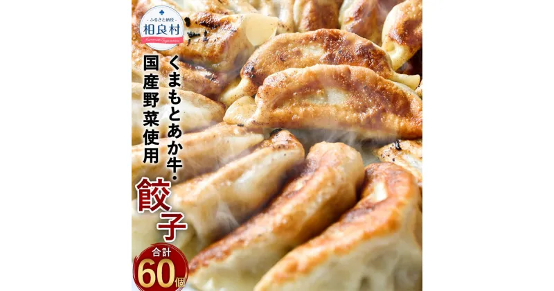 【ふるさと納税】くまもとあか牛100％ 餃子 合計60個 20個入り×3袋 九州産 熊本県産 くまもと あか牛使用 国産野菜 焼くだけ 惣菜 おかず おつまみ 中華 点心 国産 グルメ お取り寄せ 小分け 冷凍 送料無料