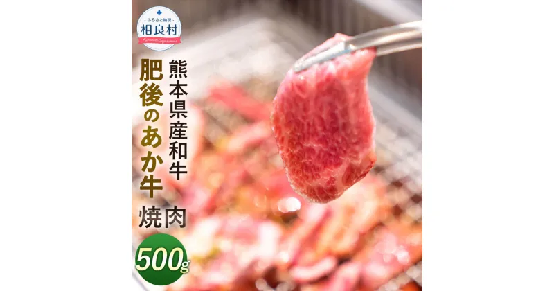 【ふるさと納税】肥後のあか牛 焼肉用 500g 熊本県産和牛 お肉 牛肉 ギフト 贈り物 国産 九州産 BBQ バーベキュー 冷凍 送料無料