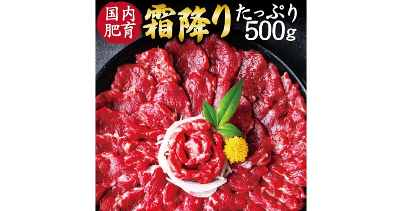 【ふるさと納税】 熊本 馬刺し 霜降り たっぷり 合計約500g 約50g×10パック 専用醤油付き 中トロ 小分け 国内肥育 ばさし 馬肉 桜肉 おつまみ 酒の肴 冷凍 送料無料