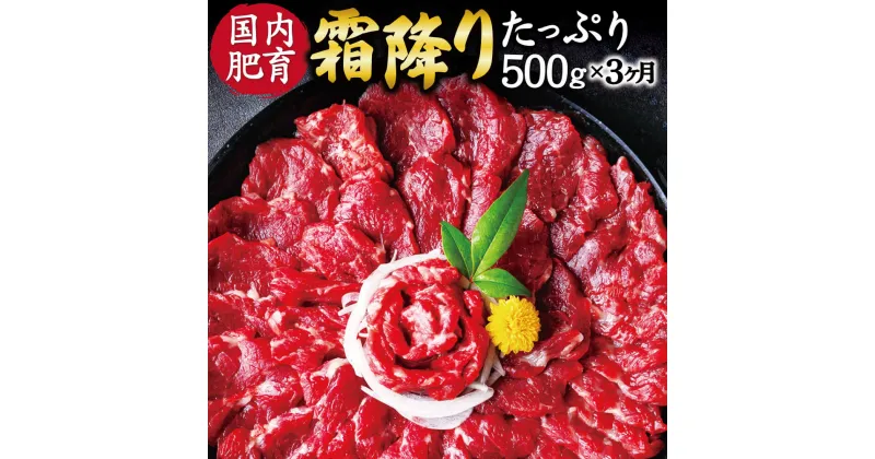 【ふるさと納税】【3ヶ月定期便】 熊本 馬刺し 霜降り たっぷり 3回合計約1.5kg 1回合計約500g 約50g×10パック 専用醤油付き 中トロ 小分け 国内肥育 定期便 ばさし 馬肉 桜肉 おつまみ 酒の肴 冷凍 送料無料