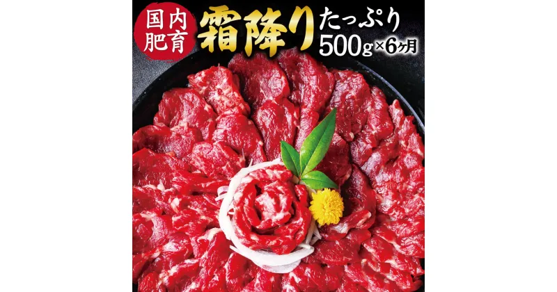 【ふるさと納税】【6ヶ月定期便】 熊本 馬刺し 霜降り たっぷり 6回合計約3kg 1回合計約500g 約50g×10パック 専用醤油付き 中トロ 小分け 国内肥育 定期便 ばさし 馬肉 桜肉 おつまみ 酒の肴 冷凍 送料無料