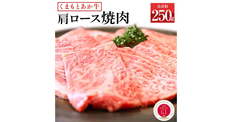 【ふるさと納税】くまもとあか牛 肩ロース 焼肉 約250g あか牛 和牛 九州産 熊本県産 牛肉 お肉 焼き肉 BBQ バーベキュー 国産 冷凍 送料無料