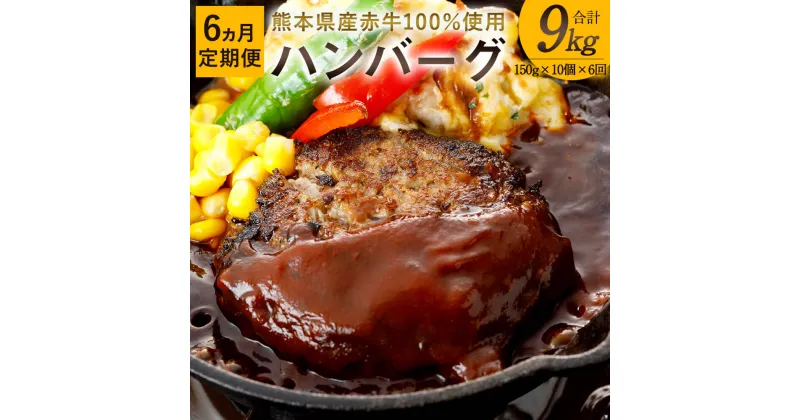 【ふるさと納税】【6ヶ月定期便】【6回】熊本県産赤牛 ハンバーグ 150g×10個 6か月合計9kg 9000g 10個セット 150g×10 赤牛 お肉 牛肉 ギフト 贈り物 国産 九州産 熊本県産 冷凍 送料無料 半年 6ヶ月