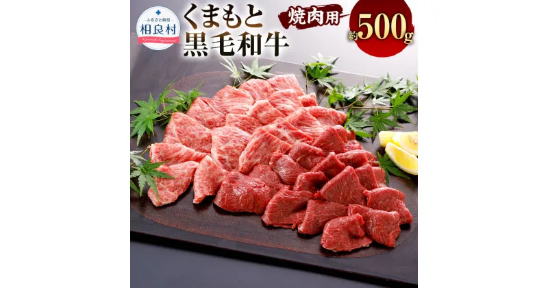 【ふるさと納税】くまもと黒毛和牛 焼肉用 約500g ブランド 和牛 黒毛和牛 熊本県産 九州産 国産 牛肉 黒毛和種 お肉 肉 焼き肉 BBQ バーベキュー やきにく 冷凍 送料無料