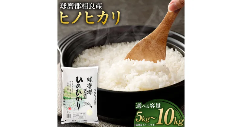 【ふるさと納税】【令和6年産】球磨郡相良産 ヒノヒカリ ＜選べる容量＞ 5kg または 10kg 【2024年12月上旬～2025年4月下旬発送予定】 1袋5kg お米 米 ご飯 白米 精米 ひのひかり 熊本県産 相良村産 九州産 国産 送料無料