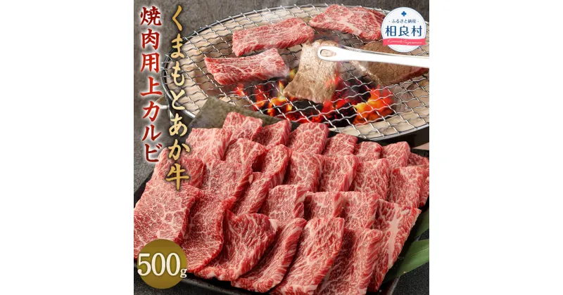 【ふるさと納税】あか牛 焼肉用 上カルビ 500g くまもとあか牛 熊本県産 ブランド牛 九州産 国産 牛肉 お肉 肉 BBQ バーベキュー 冷凍 送料無料