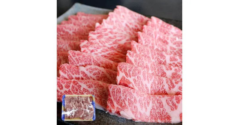 【ふるさと納税】厳選されたGI認証 くまもとあか牛 特選焼肉用 約500g G21Q 霜降り 熊本県産 九州産 国産 牛 焼き肉 焼肉 やき肉 BBQ バーベキュー 牛肉 お肉 冷凍 送料無料