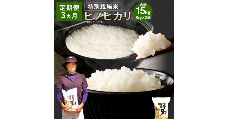 【ふるさと納税】【3ヶ月定期便】相良村産 特別栽培米 ヒノヒカリ 5kg 合計15kg 5kg×3回 定期便 3回 お米 白米 精米 熊本県産 国産 九州産 送料無料