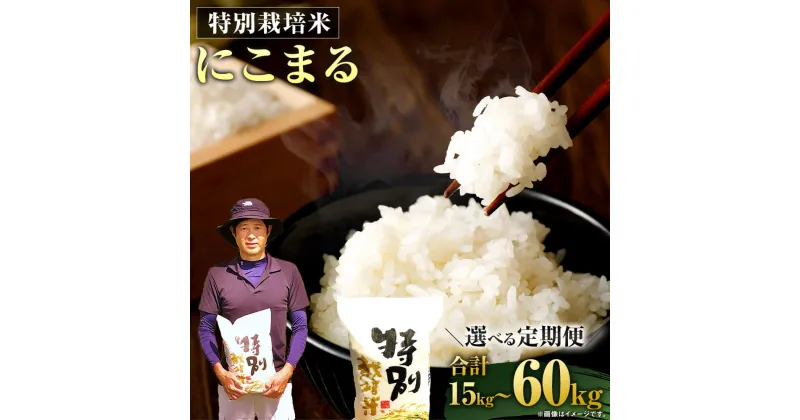 【ふるさと納税】【定期便】相良村産 特別栽培米 にこまる 5kg ＜選べる定期便＞ 3ヶ月/6ヶ月/12ヶ月 合計15kg～60kg 熊本県産 九州産 国産 お米 米 ご飯 精米 ご飯 白米 常温 送料無料