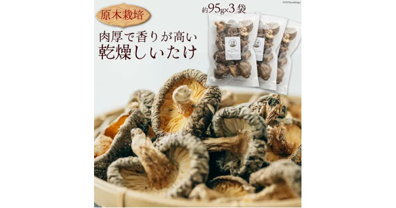 【ふるさと納税】原木栽培 乾燥しいたけ 約95g×3P 肉厚 熊本県 特産 [日添 熊本県 五木村 51120233]椎茸 しいたけ 乾燥椎茸 乾燥 シイタケ 熊本県 五木村 特産