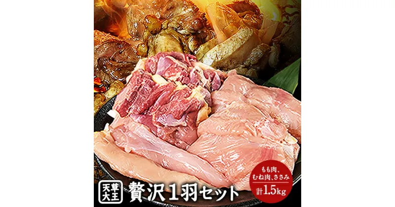 【ふるさと納税】天草大王 贅沢1羽セット 約1.5kg【幻の地鶏】もも・むね・ささみ 各2枚《60日以内に出荷予定(土日祝除く)》