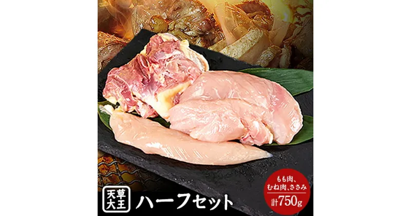 【ふるさと納税】天草大王　ハーフセット 約750g【幻の地鶏】もも・むね・ささみ各1枚 熊本県産 山江村《60日以内に出荷予定(土日祝除く)》